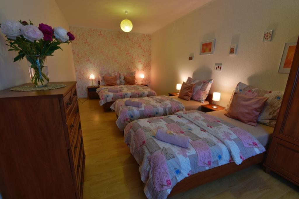 Apartmany Branickov エクステリア 写真